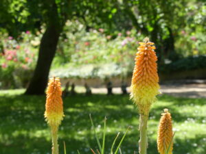 Maison de Retraite des Sœurs Augustines de Paris - Un cadre de vie calme et apaisant